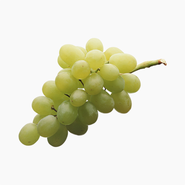 High Protein cherry